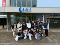line_953247887612129