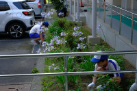 DSCF3800