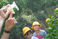 DSCF5043