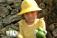 CIMG0138