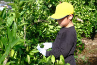 DSCF5070