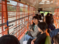 line_52418315267917
