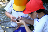 DSCF3632